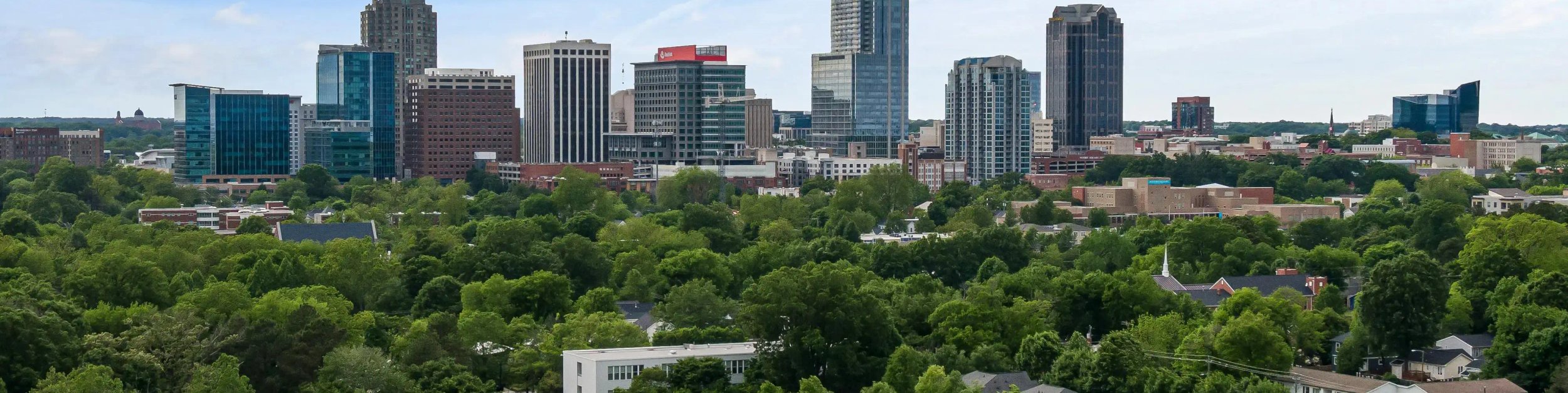 East Raleigh Skyline